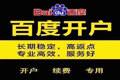 SEM托管服务，成功案例见证转化奇迹